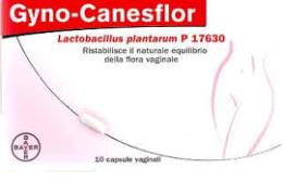 GYNO CANESFLOR - LACTOBACILLUS PLANTARUM - 10 CAPSULE VAGINALI