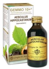 IPPOCASTANO GEMMODERIVATO 100ml