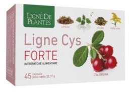 LIGNE CYS FORTE 45 CAPSULE