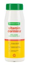 VITAMINDERMINA POLVERE CON MENTOLO 100 gr