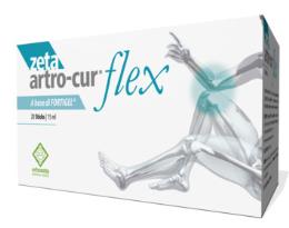 ZETA ARTRO CUR FLEX 20 STICK